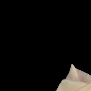 Meet your Posher, Mia